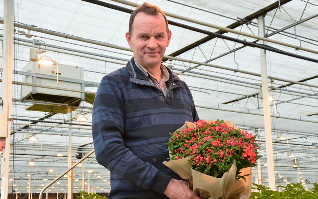 Gebruik van bouwdrogers voor ontvochtiging kaslucht rukt op