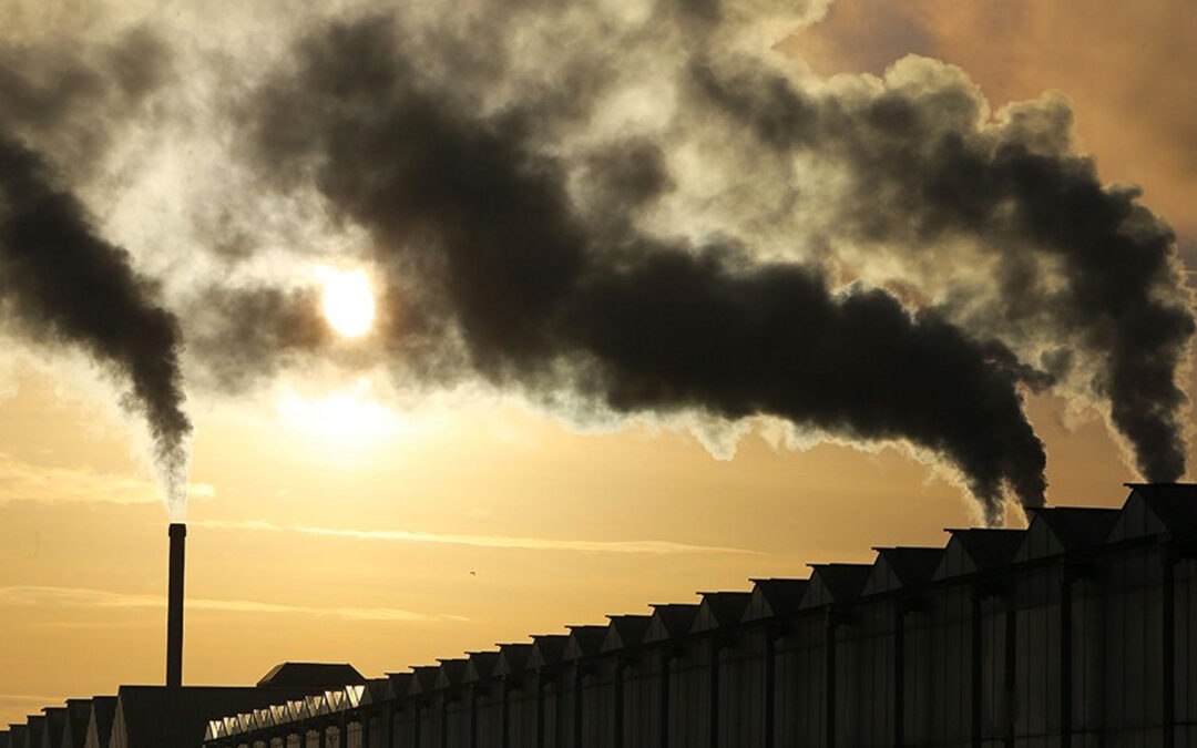 CO2-emissie van de teelt in glastuinbouw 35% lager dan in 1990
