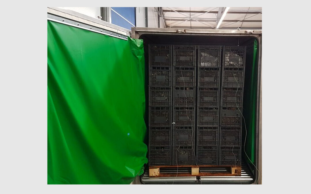 Stoomcabine rekent af met schimmels en insecten