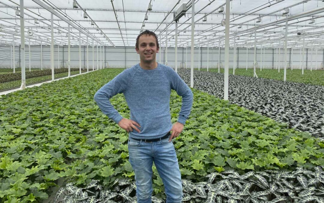 ‘Elke plant staat op de millimeter nauwkeurig op de goede plek’