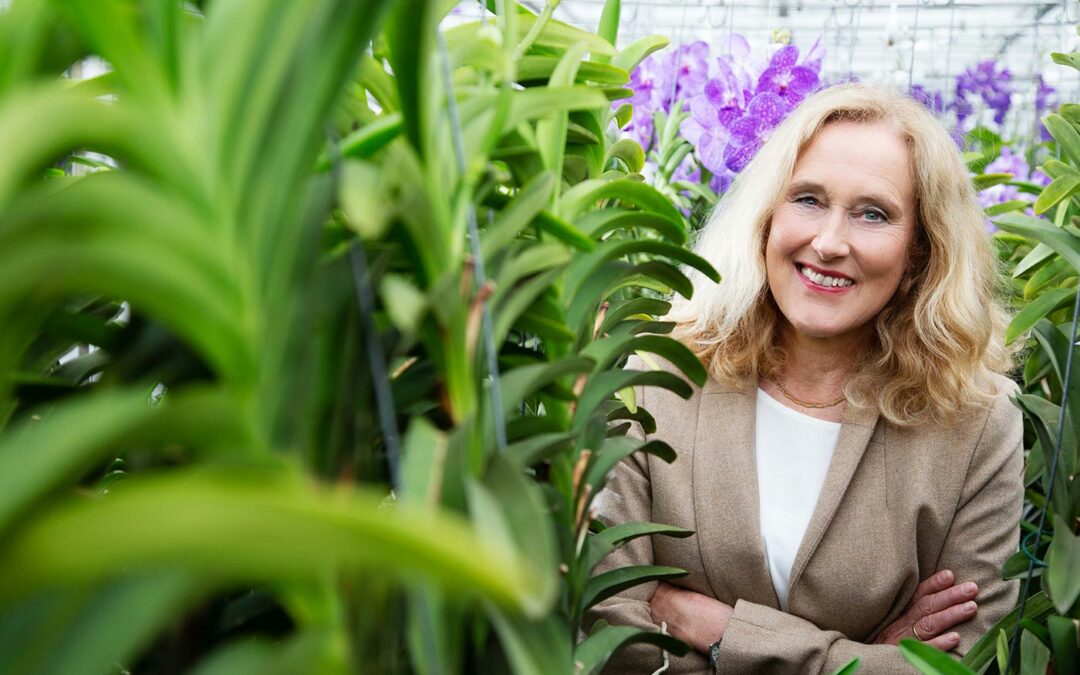 Nieuwe regering erkent potentie glastuinbouw bij verduurzaming