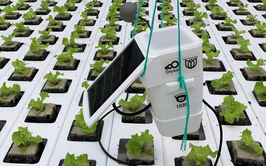 Anna Petropoulou: ‘Tussentijds bijsturen kan nu niet meer’