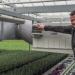 Tulpenbroeiers Bot groeien fors door automatisering en techniek