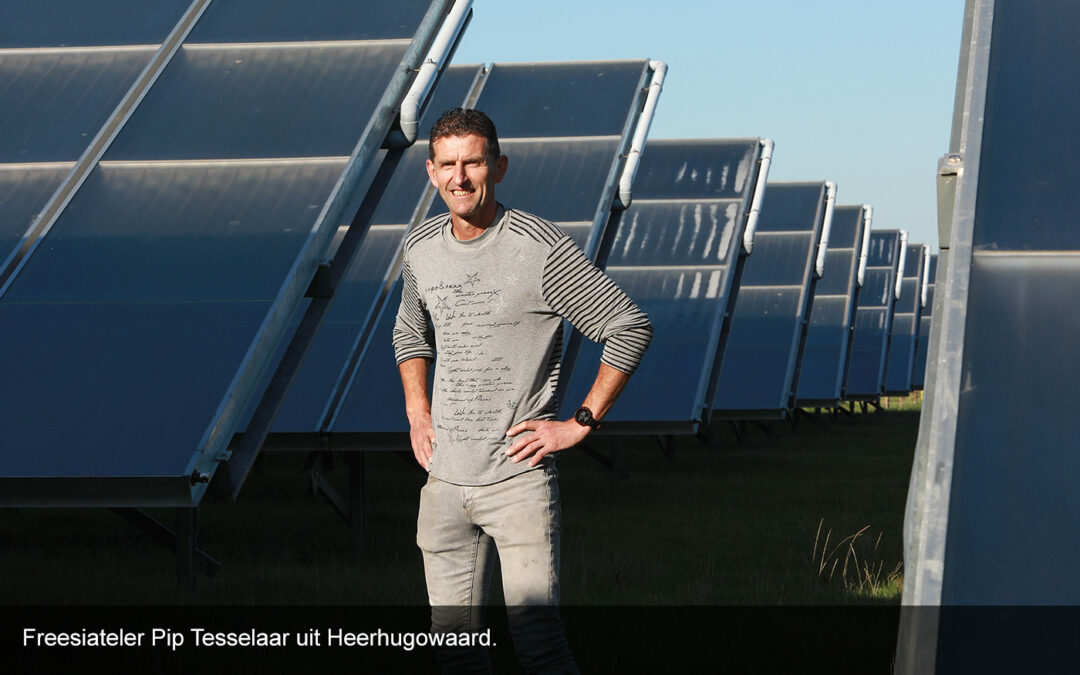 Freesiatelers vervangen SON-T-lampen door efficiëntere LED’s