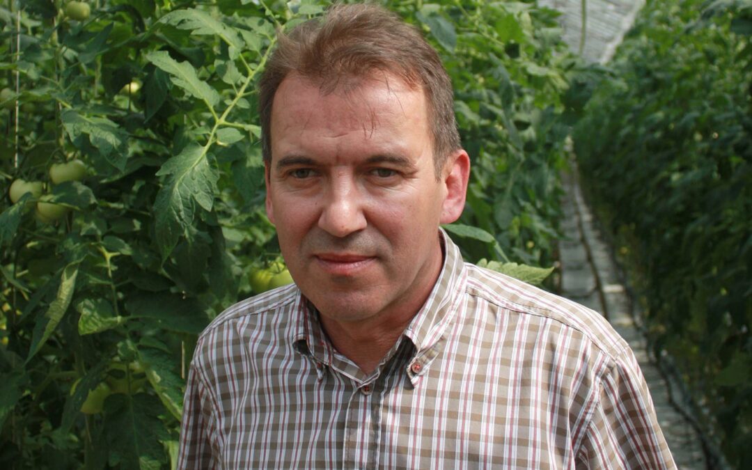 Grootste tomatenteler in Oekraïne legt productie stil door oorlog