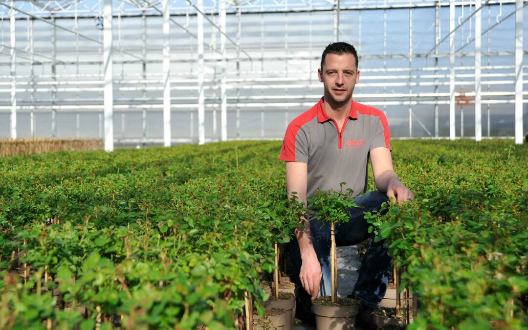 ‘Met zo min mogelijk energie hetzelfde goede product telen’