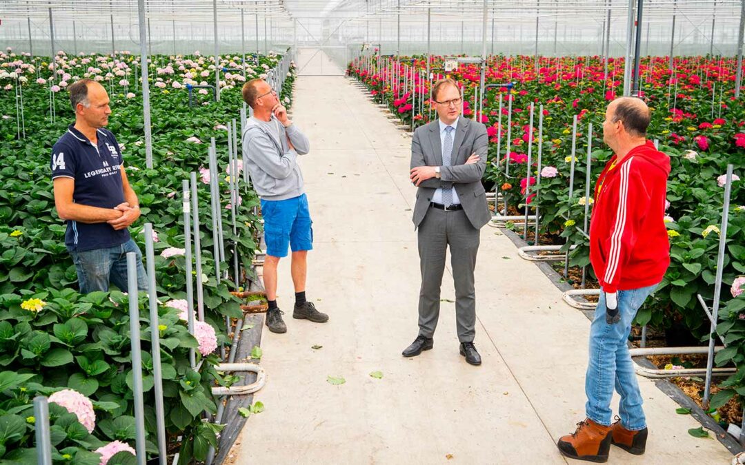 ‘Kansen op voorstel versoepeling regelgeving CRISPR-Cas’