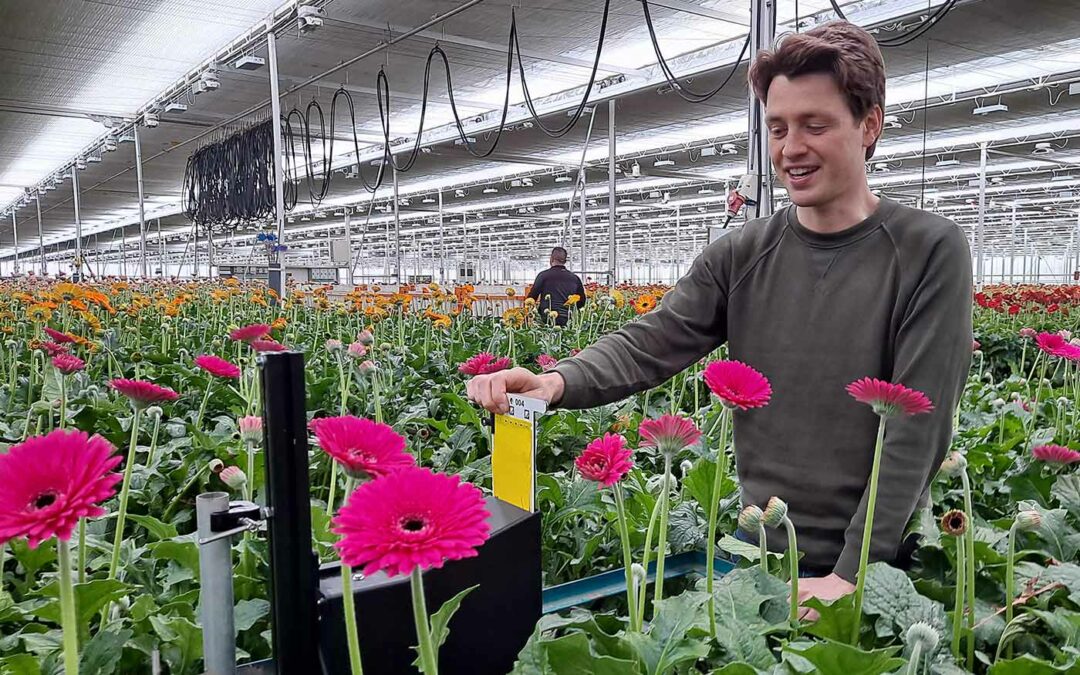 Plagen met slimme camera onder controle houden