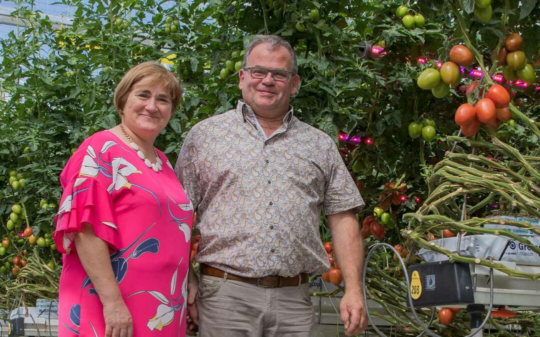 Leo Verdonck en Marja van Dessel verkopen hun tomatenbedrijf