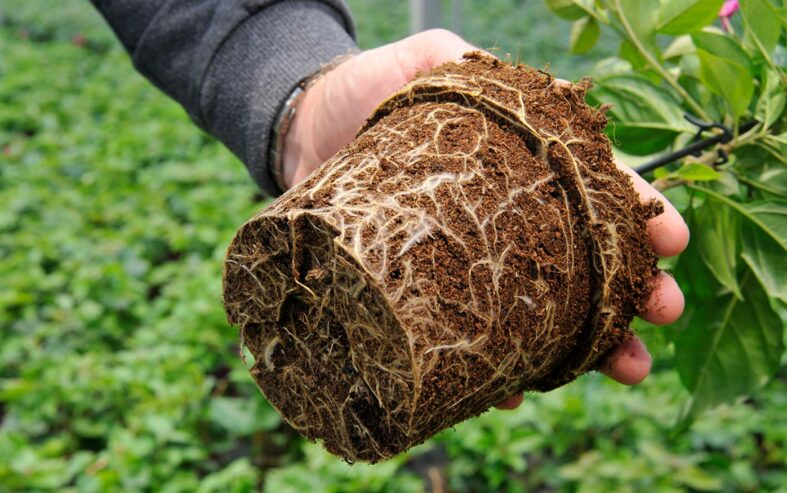 3. VanLeeuwen_Climalux (9)