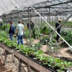 ‘BoereGoed vormt brug tussen maatschappij en tuinbouwsector’