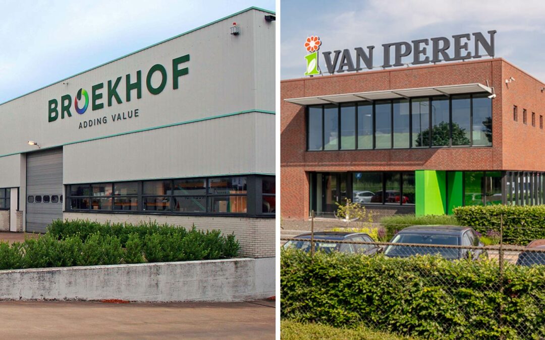 Broekhof neemt verpakkingsactiviteiten van Van Iperen over