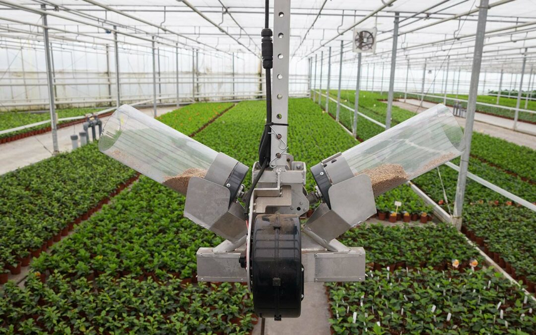 Telers zetten op 95% van het areaal biologische bestrijding in