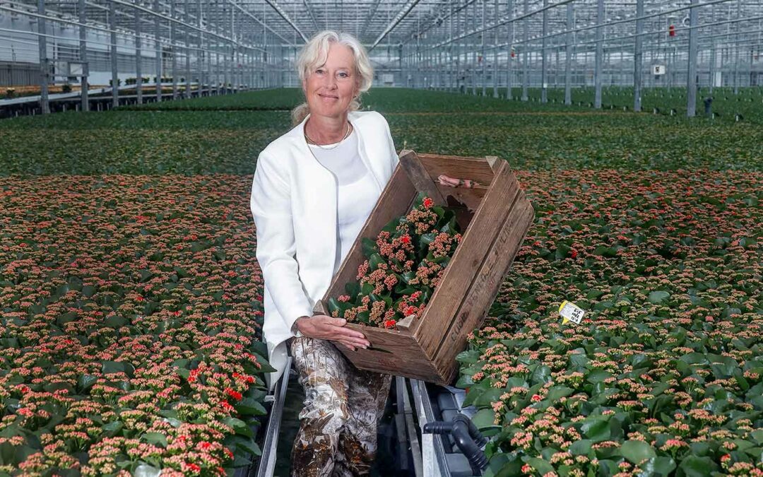 ‘Ik bepleit duidelijk beleid zodat ondernemer keuzes kan maken’