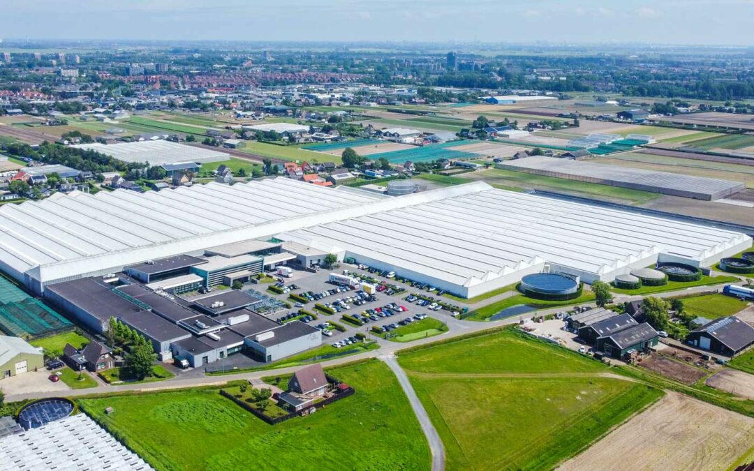 Floricultura schrapt een vijfde deel Nederlands personeelsbestand