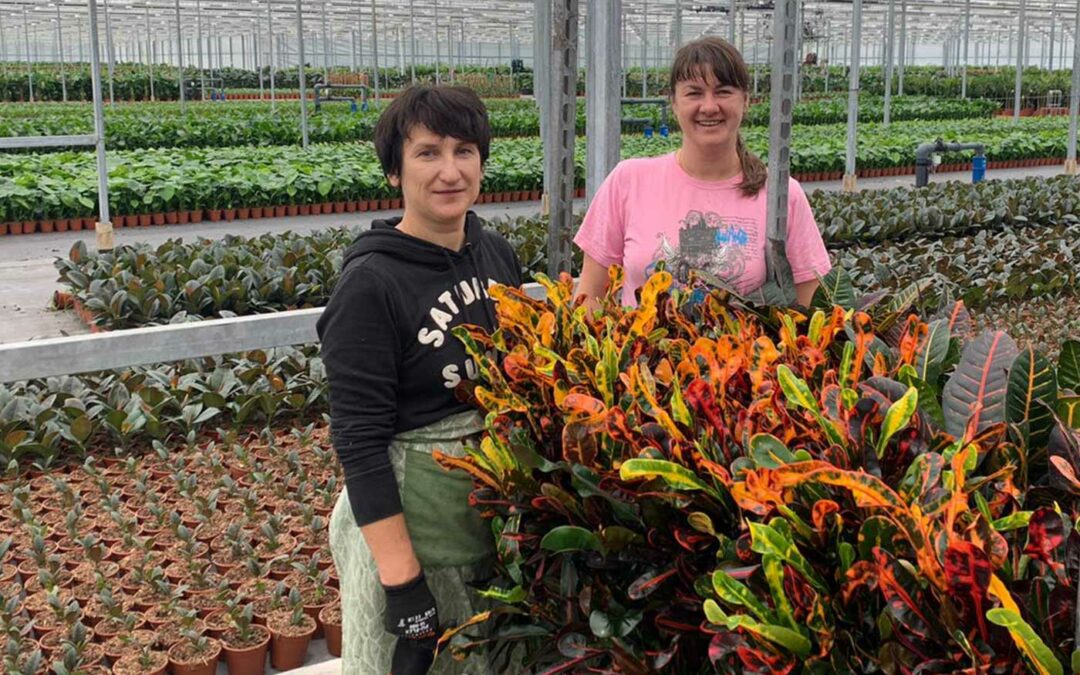 ‘Ik verwacht dat er wel aantal Oekraïners als medewerker blijven’