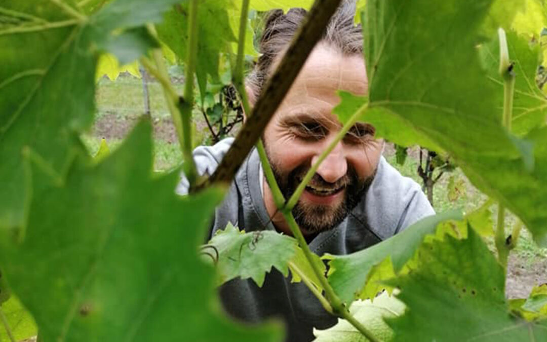 Zorgverstrekking bij Vlaamse tuinbouw veert op na coronadip