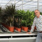 ‘Tropische groene planten gedijen prima bij lagere temperaturen’