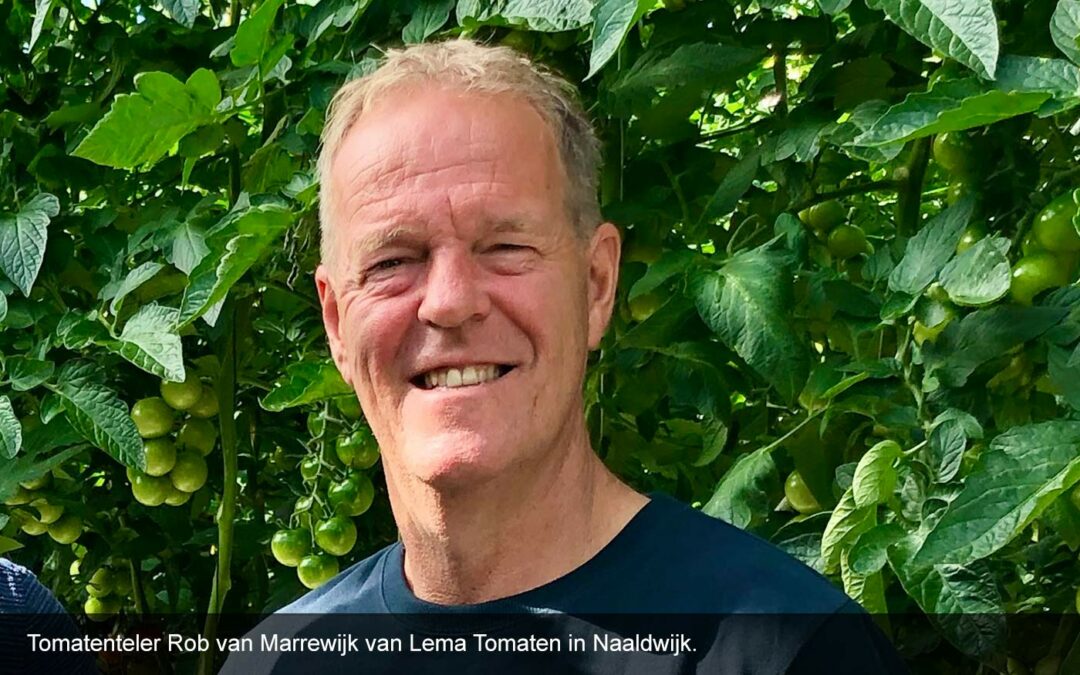 ‘Lampen gaan aan als de energieprijzen het toelaten’