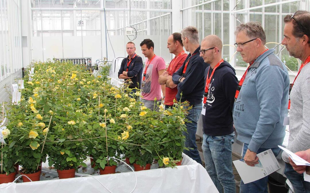 Aron Boerefijn: ‘Koeler telen vraagt extra inzet op meeldauw’