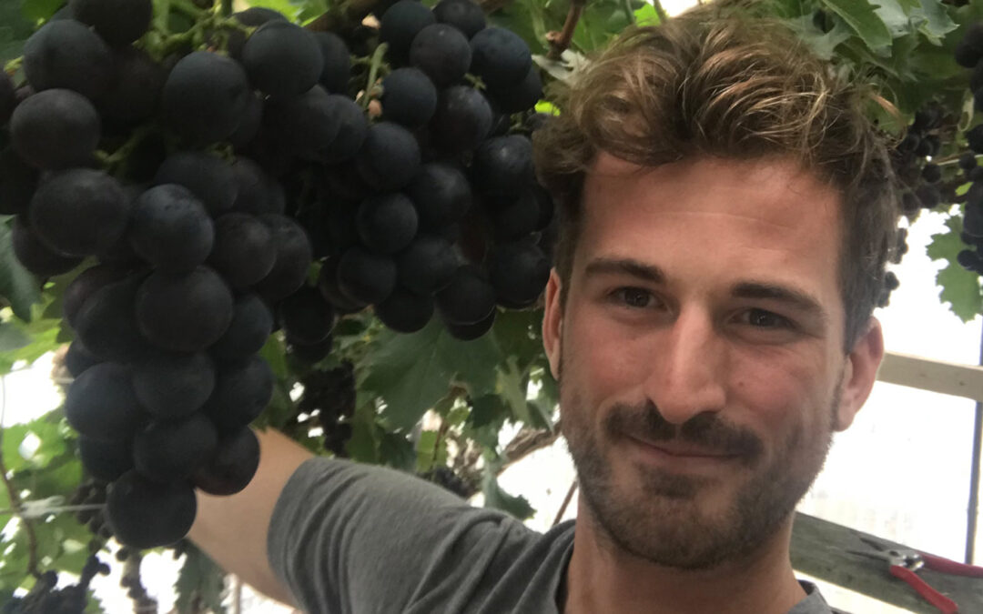 Biologische teler Brecht Fluyt mag geen nieuwe kas bouwen