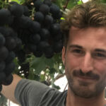 Biologische teler Brecht Fluyt mag geen nieuwe kas bouwen