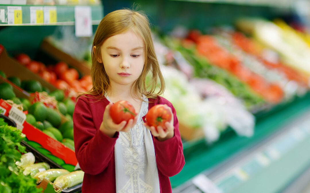 Hoge kwaliteit tomaten met efficiënt gebruik van hulpbronnen