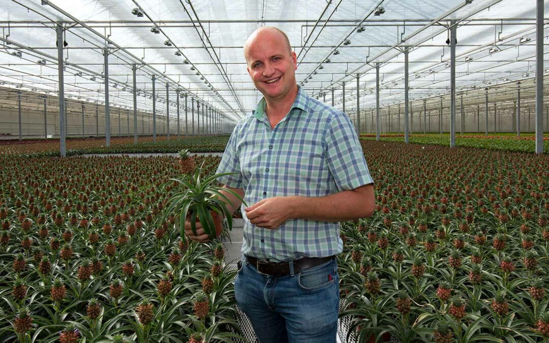 ‘Externe CO2 is nodig om op termijn te kunnen verduurzamen’