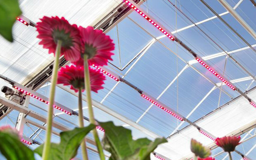 Meer bekend over mogelijke gezondheidsrisico’s LED’s