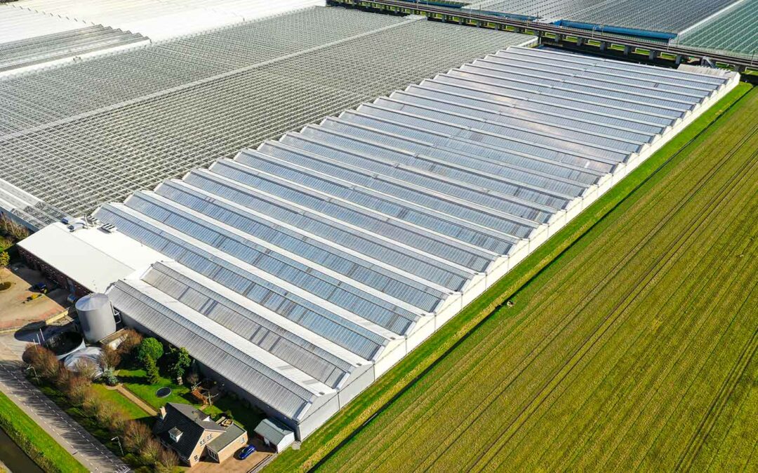 Orchideeënkassen worden geruimd en krijgen nieuw leven