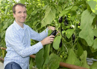 Van der Harg levert klimaatneutrale aubergines aan supermarkt