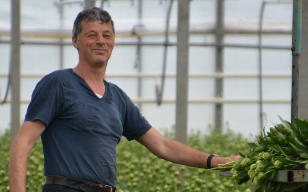 ‘Door het uitblijven van hitte, bleef de prijs er goed op’