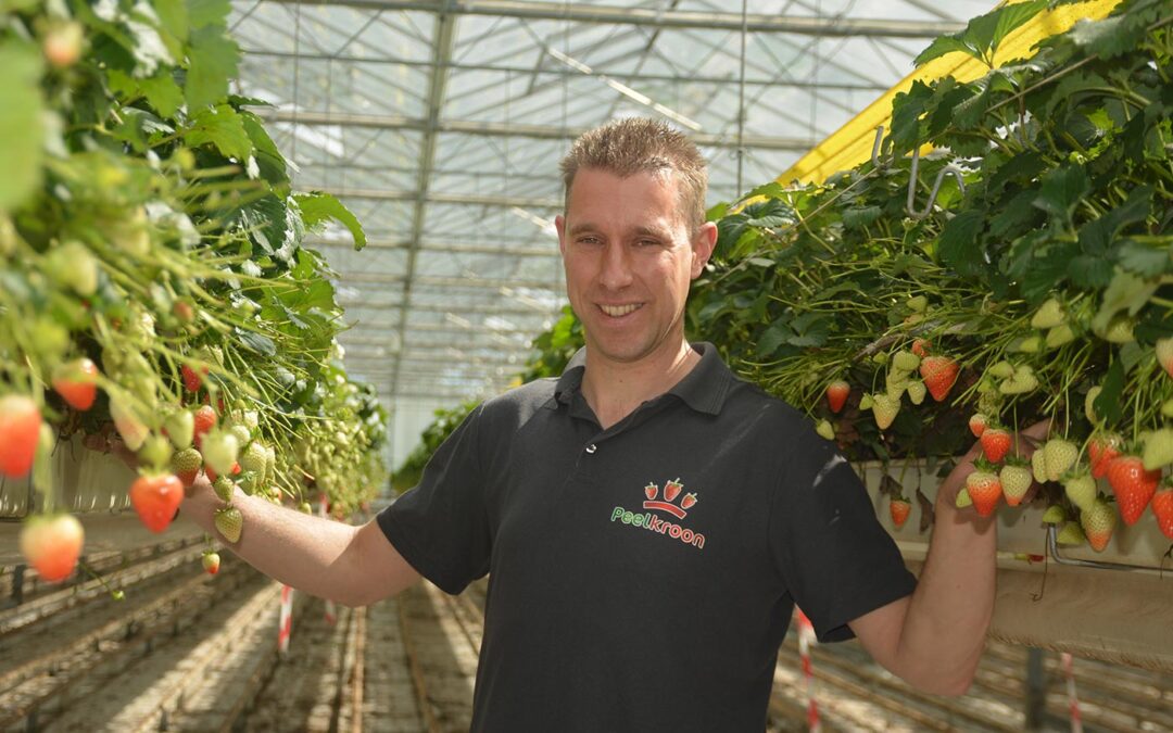 ‘Verticale ventilatoren een must om HNT tot succes te maken’