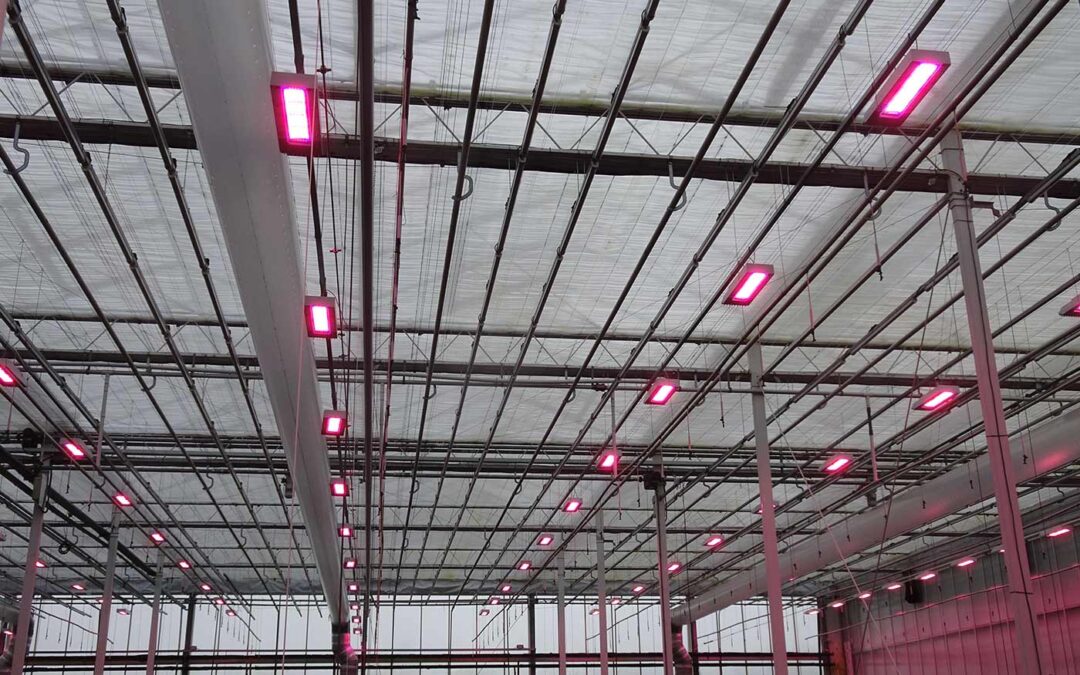 Monitoring energie-innovaties schakel onderzoek naar praktijk