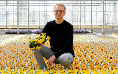 ‘Eerste nieuwe planten staan weer in de kas; dat geeft houvast’
