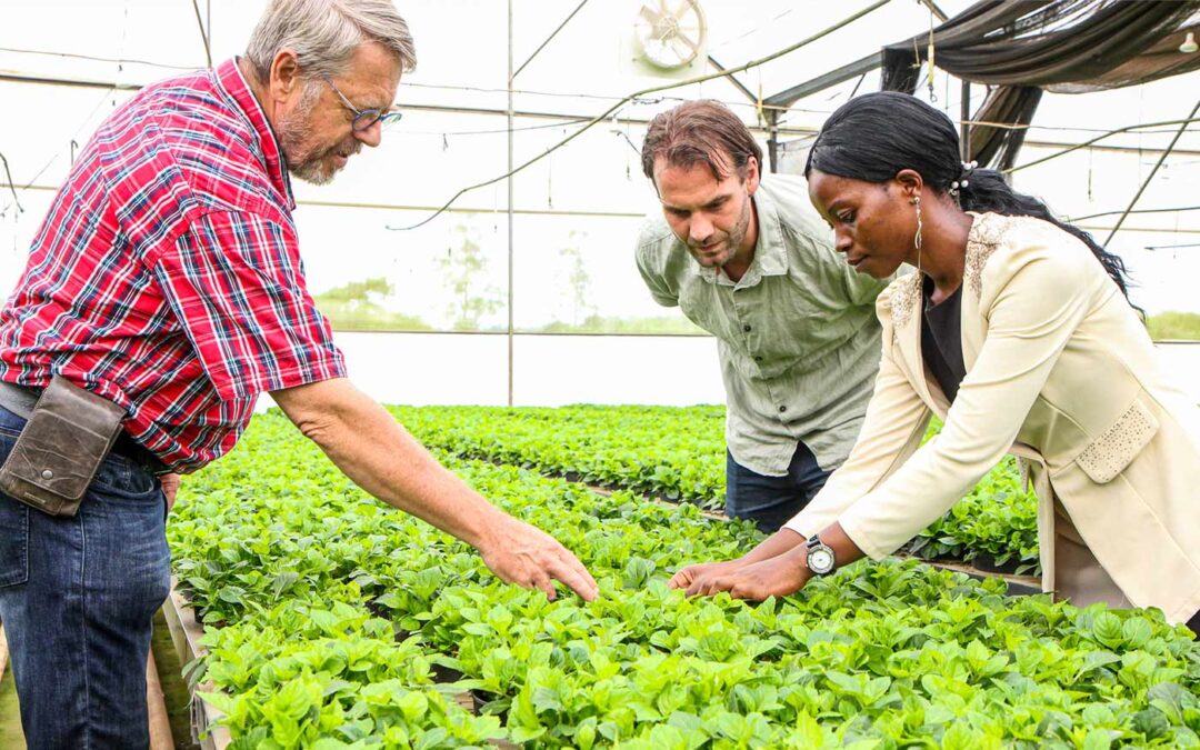 Cuttings production company in Uganda aiming for further growth