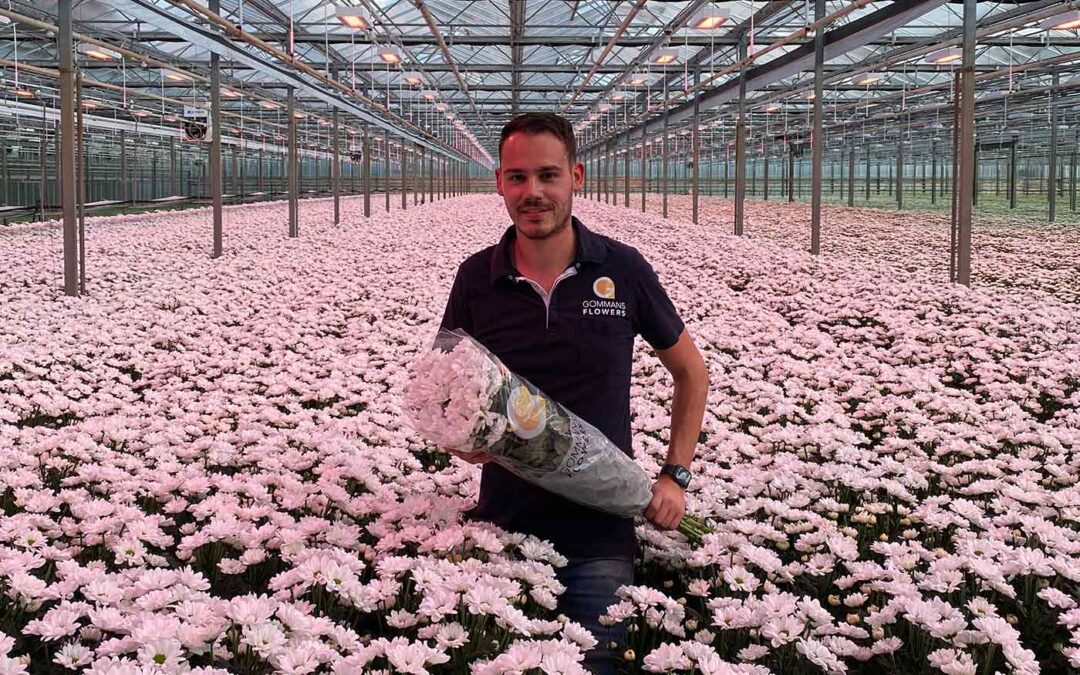 ‘Winst LED’s door zwaardere kwaliteit en hogere productie’