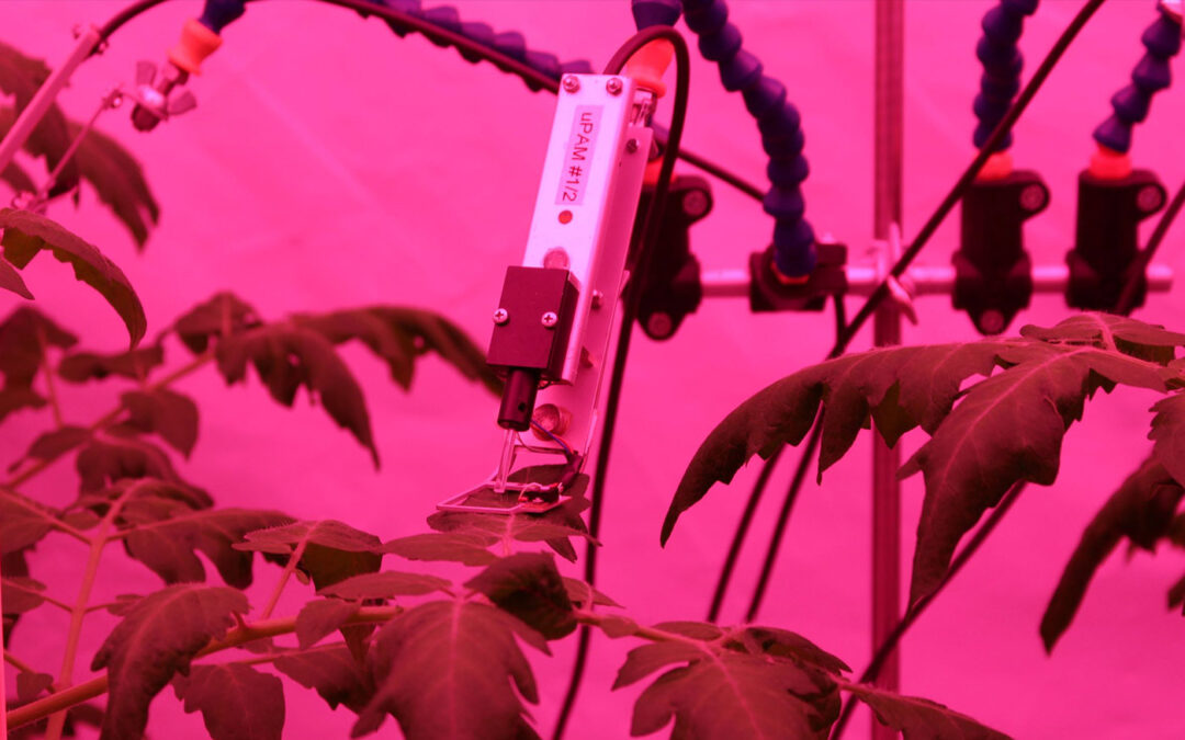 Dynamisch belichten lijkt grote belofte voor de praktijk