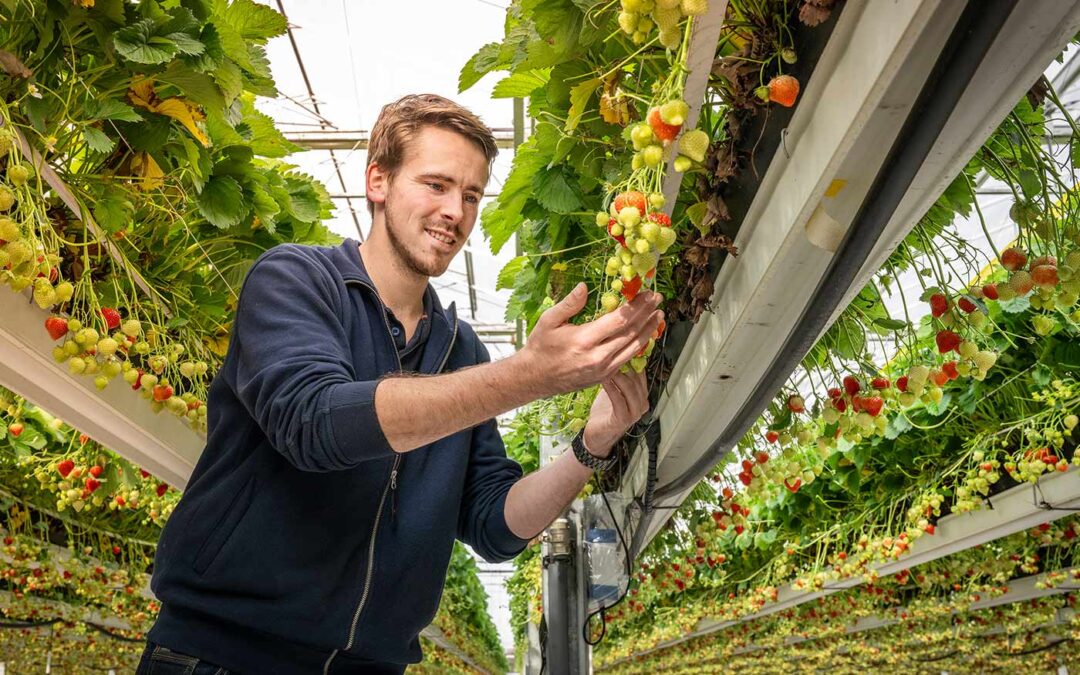 ‘Er is een wereld te winnen door de plant beter te leren kennen’