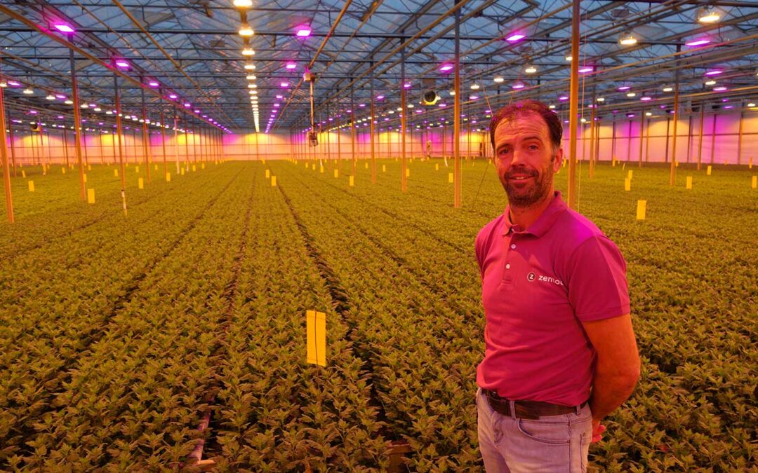 Teeltkeuzes onderbouwen door data verzamelen en analyseren