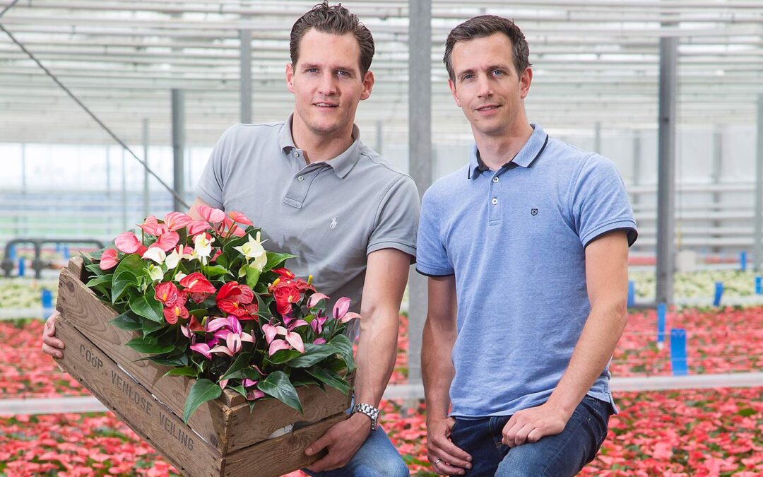 ‘Bloemen- en kruidenveld extra troef in strijd tegen trips’