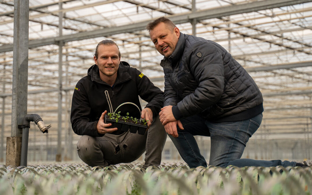 Jarno Baas: ‘Bij schone leidingen, is water bij de plant dat ook’