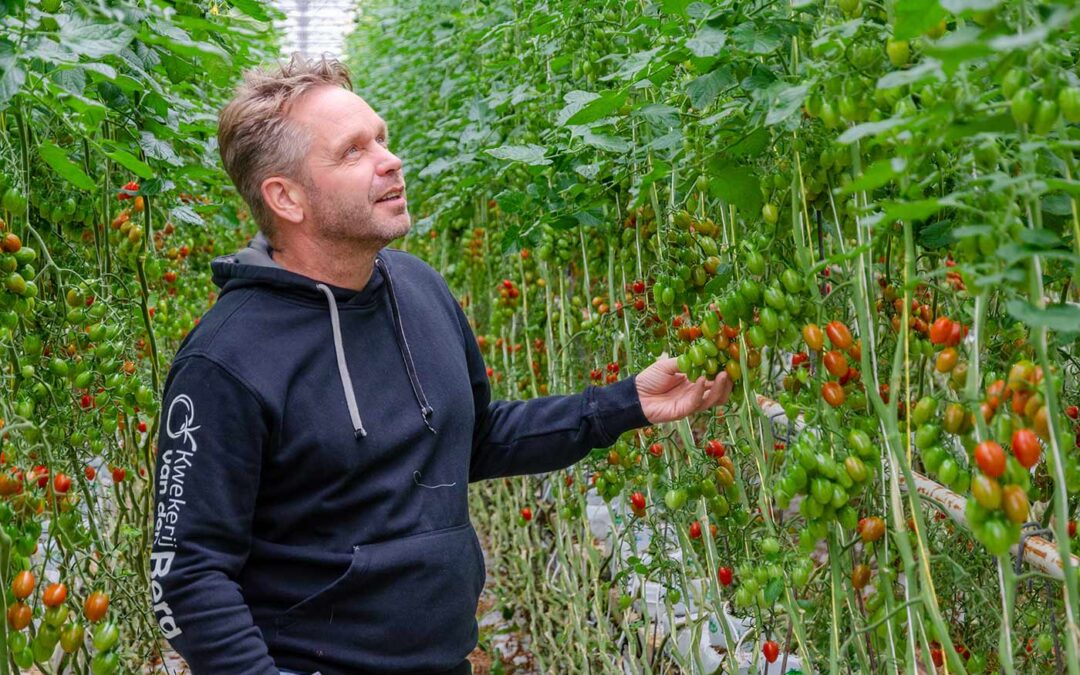 ‘Voldoende energie inbrengen om gewas te activeren’