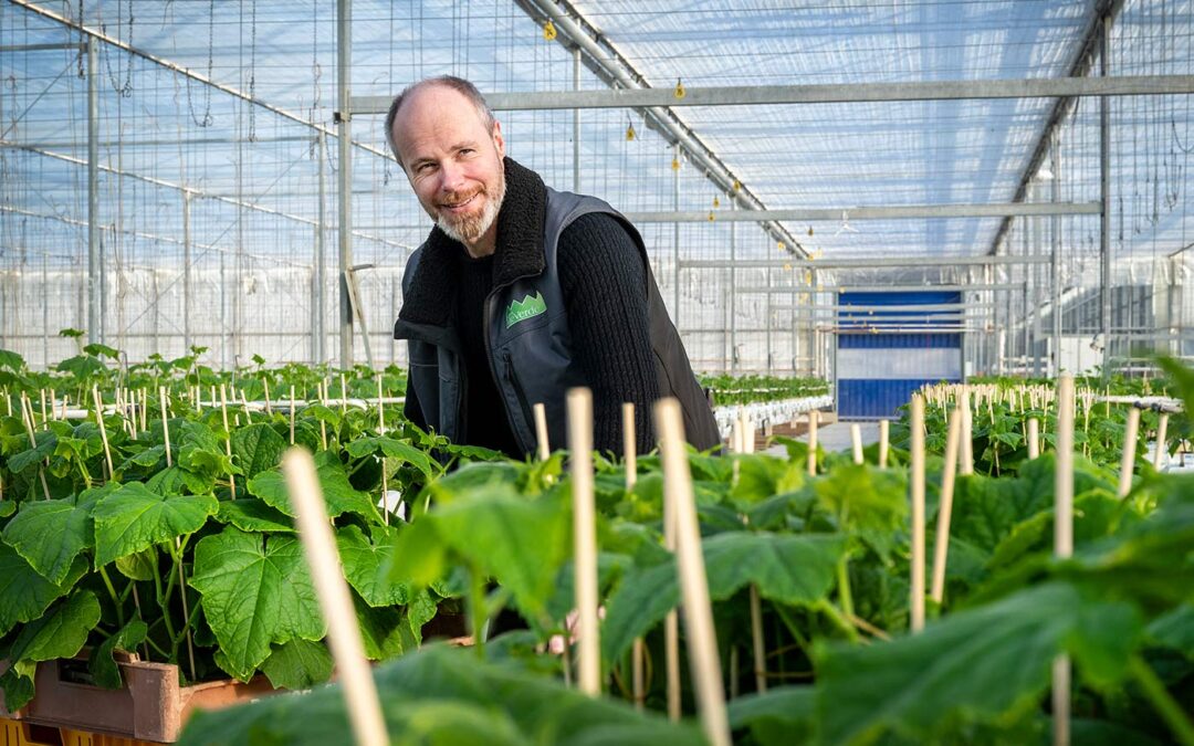 ‘Optimaal ontvochtigen en goed kasklimaat continue zoektocht’