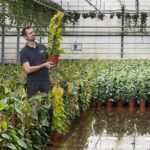Klimstok van natuurlijke materialen slaat aan bij retail