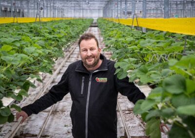 ‘Ik denk dat wij de meest duurzame aardbeien van Nederland telen’