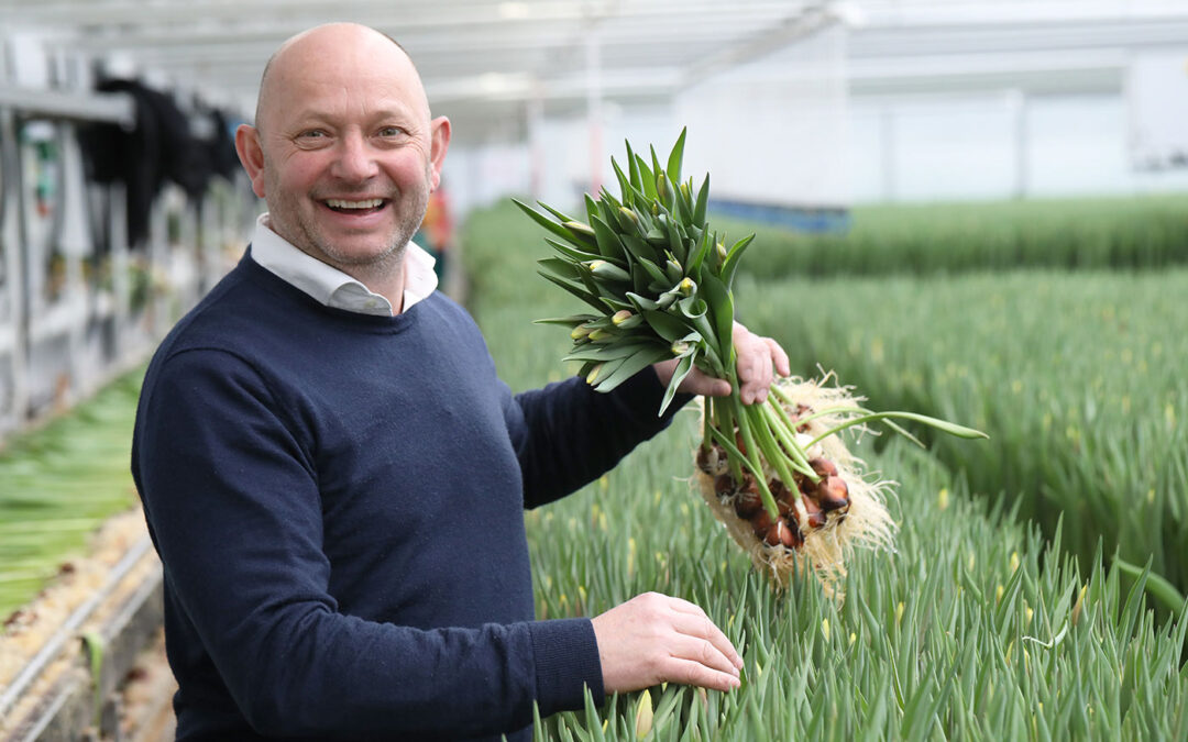 ‘Geïnfuseerd water maakt plant sterker tegen stressfactoren’