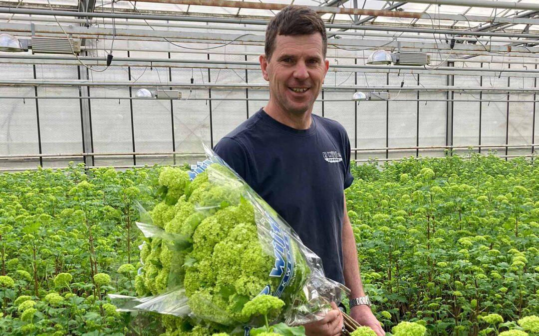 ‘We hebben minder vierkoppers door nat voorjaar’