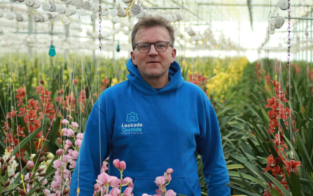‘Nieuwe val maakt slakkenprobleem op termijn beheersbaar’