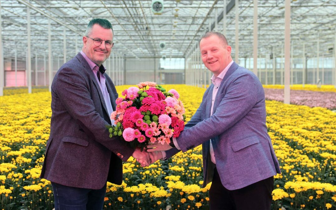 Dries Eikens wordt directeur van chrysantencollectief Zentoo